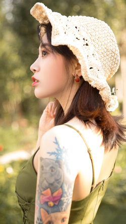 安装步骤示意图